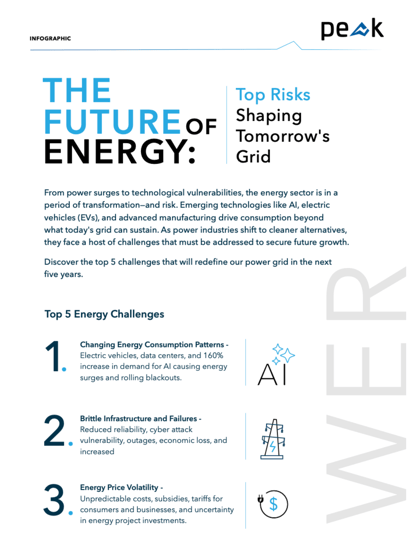 The Future of Energy: Top Risks Shaping Tomorrow's Grid