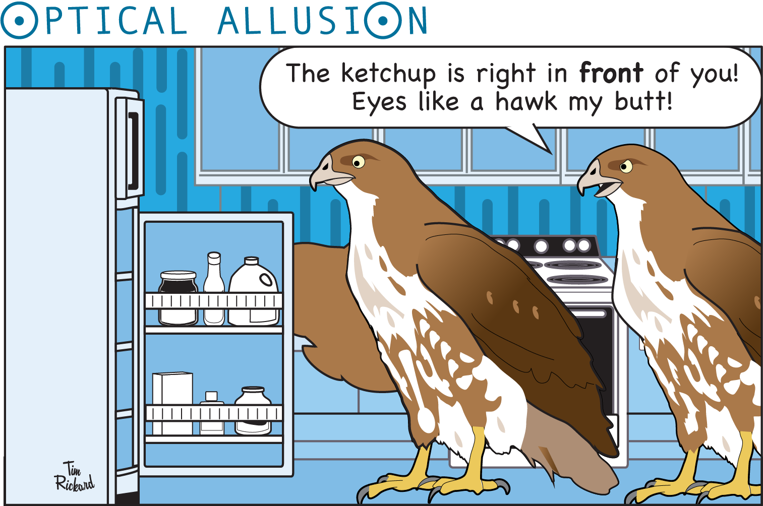 Optical Allusion_2 hawk eye